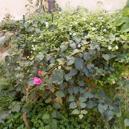 Garden&house Vero *